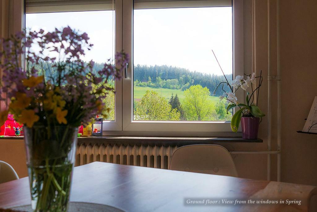Entire House In Schwarzwald With Mountain View, Private Gym,Sauna And Garden Villa Unterkirnach Exterior photo
